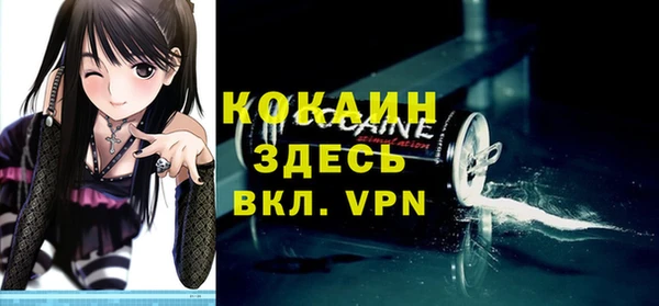тгк Абаза