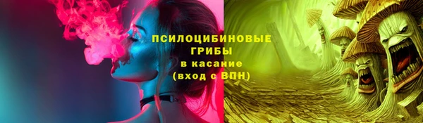 тгк Абаза