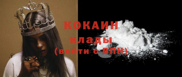 тгк Абаза
