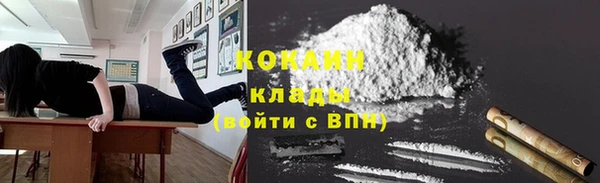 тгк Абаза