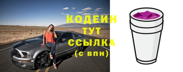 тгк Абаза