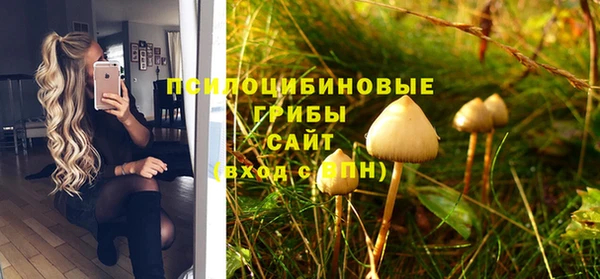 тгк Абаза