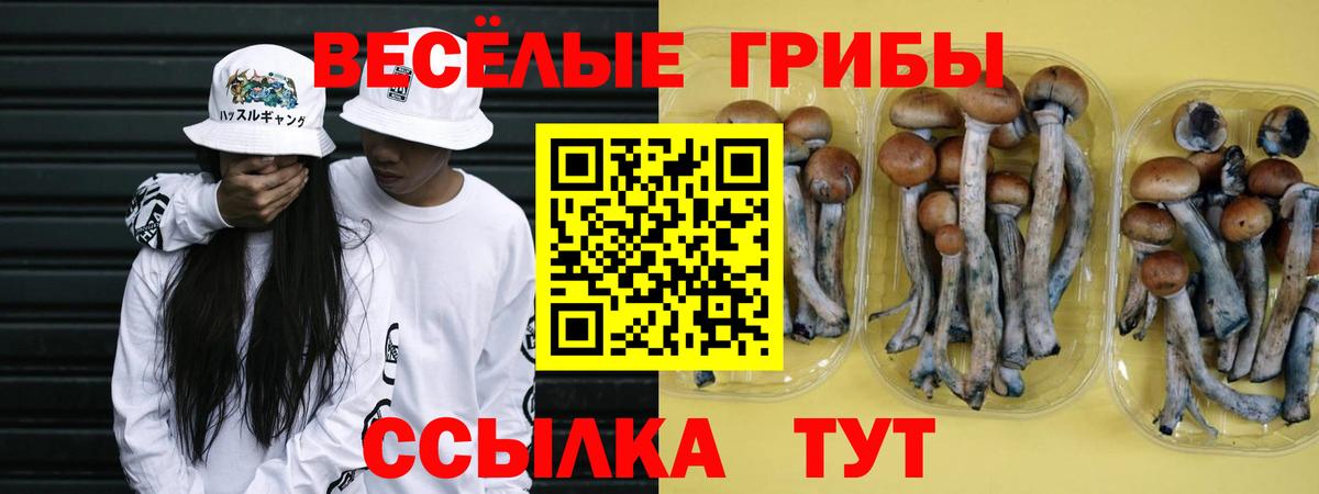 Прокопьевск  Псилоцибиновые грибы мицелий  где найти   Вход с VPN 
