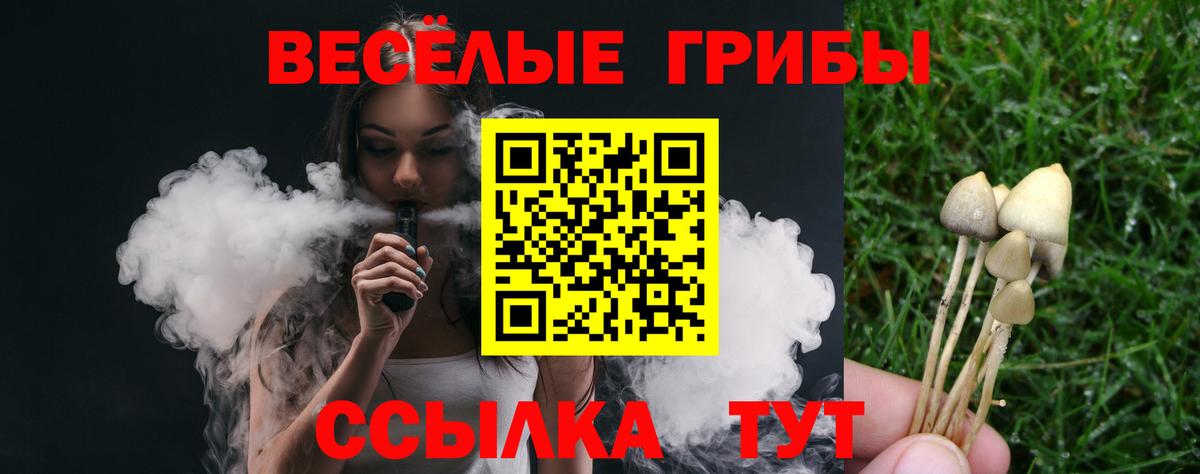 Псилоцибиновые грибы мицелий Прокопьевск